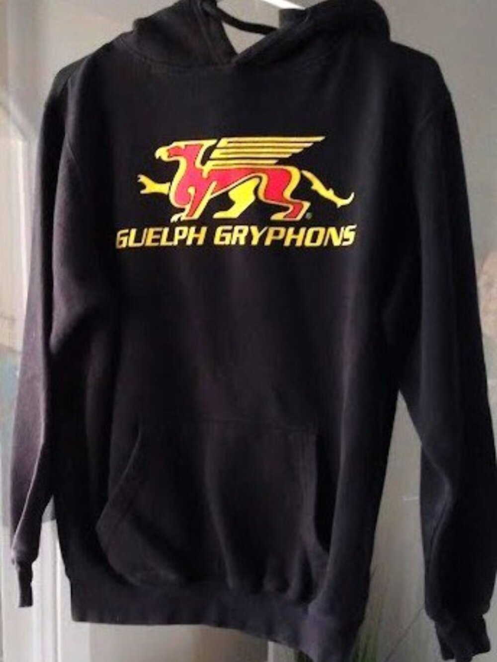 Guelph University Gryphons Hoodie Mens Size Small